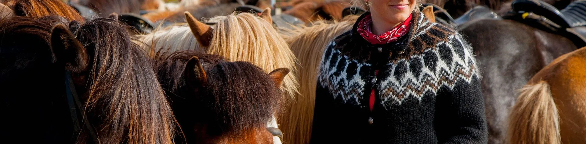 Siggi tur (13:00/5 tim/1,5 tim ridetur) (C13)