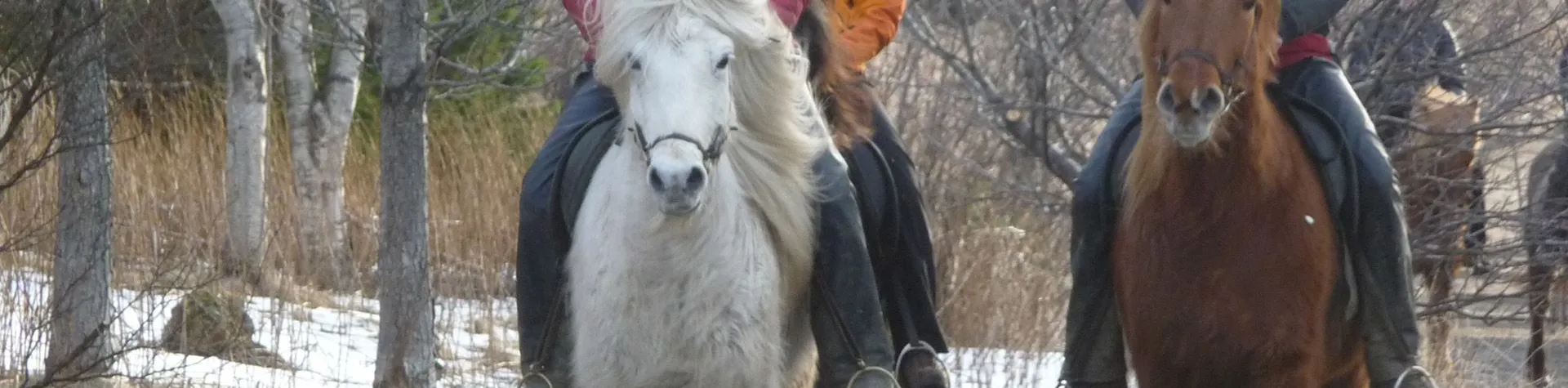 Siggi tur (13:00/5 tim/1,5 tim ridetur) (C13)