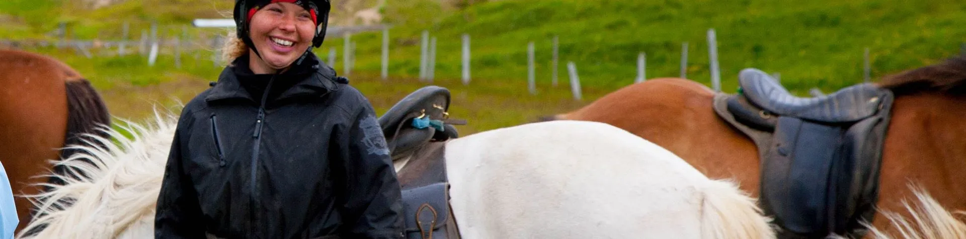 Hester & Varme kilder (08:00/5 timer/2,5 tim ridetur) (C02)