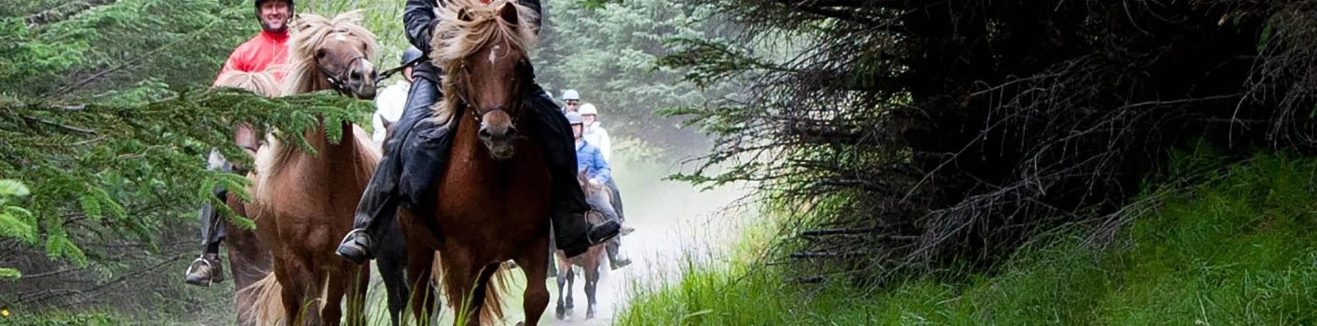 Hester & Varme kilder (08:00/5 timer/2,5 tim ridetur) (C02)