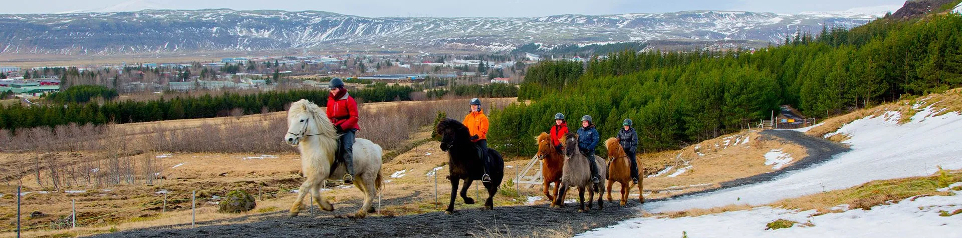 Hester & Varme kilder (08:00/5 timer/2,5 tim ridetur) (C02)
