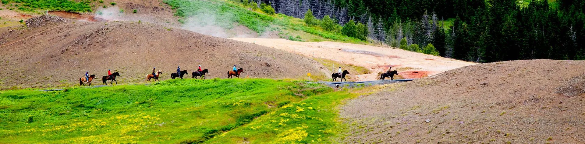 Hester & Varme kilder (08:00/5 timer/2,5 tim ridetur) (C02)