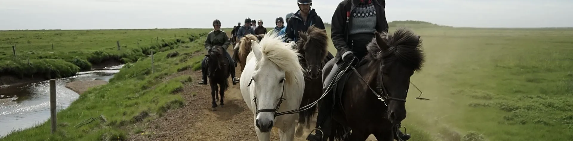 Ridetur & Gullfoss-Geysir-Thingvellir (08:00/9 tim/1,5 tim ridetur) (C04)