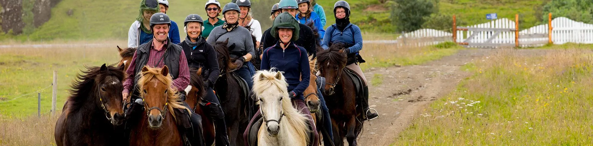 Ridning & Vandring i Reykjadalur (8:00/8tim/1.5tim riding) (C05)