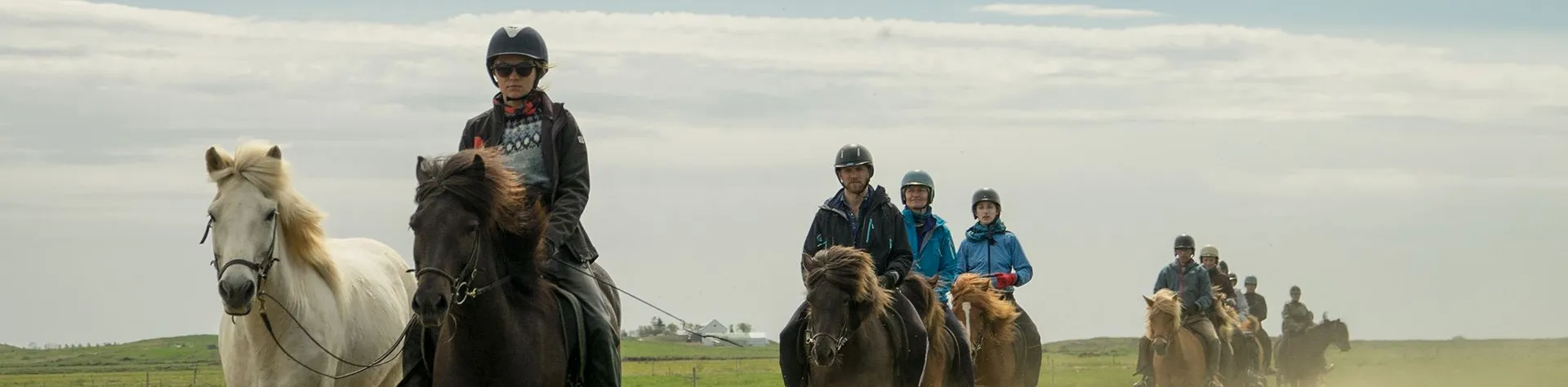 Ridning & Vandring i Reykjadalur (8:00/8tim/1.5tim riding) (C05)