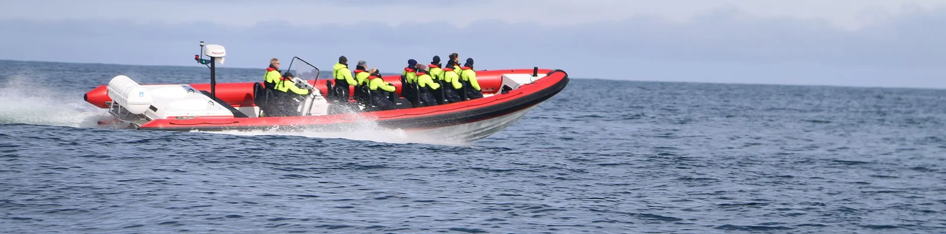 Hvalsafari med ribbåt (13:00/3 tim) (T07)