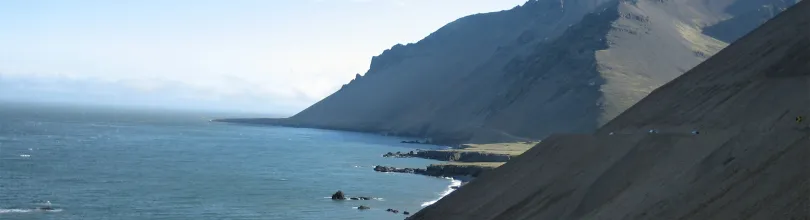 hvalnes, island