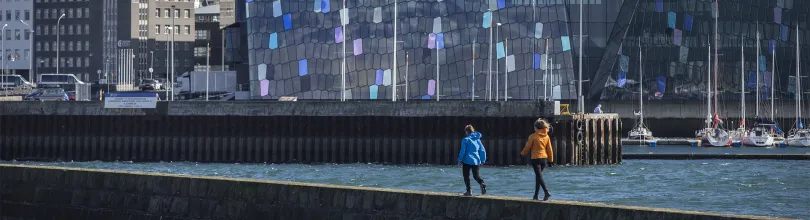 reykjavik, harpa, island