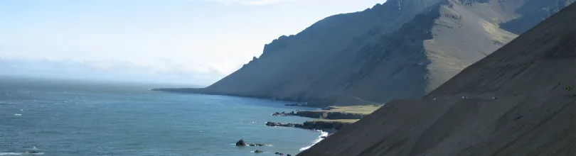 hvalnes, island