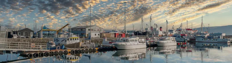 Fiskebåter i Reykjaviks havn med speilblankt vann.