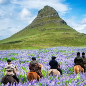 Grupptur på Islandshästar